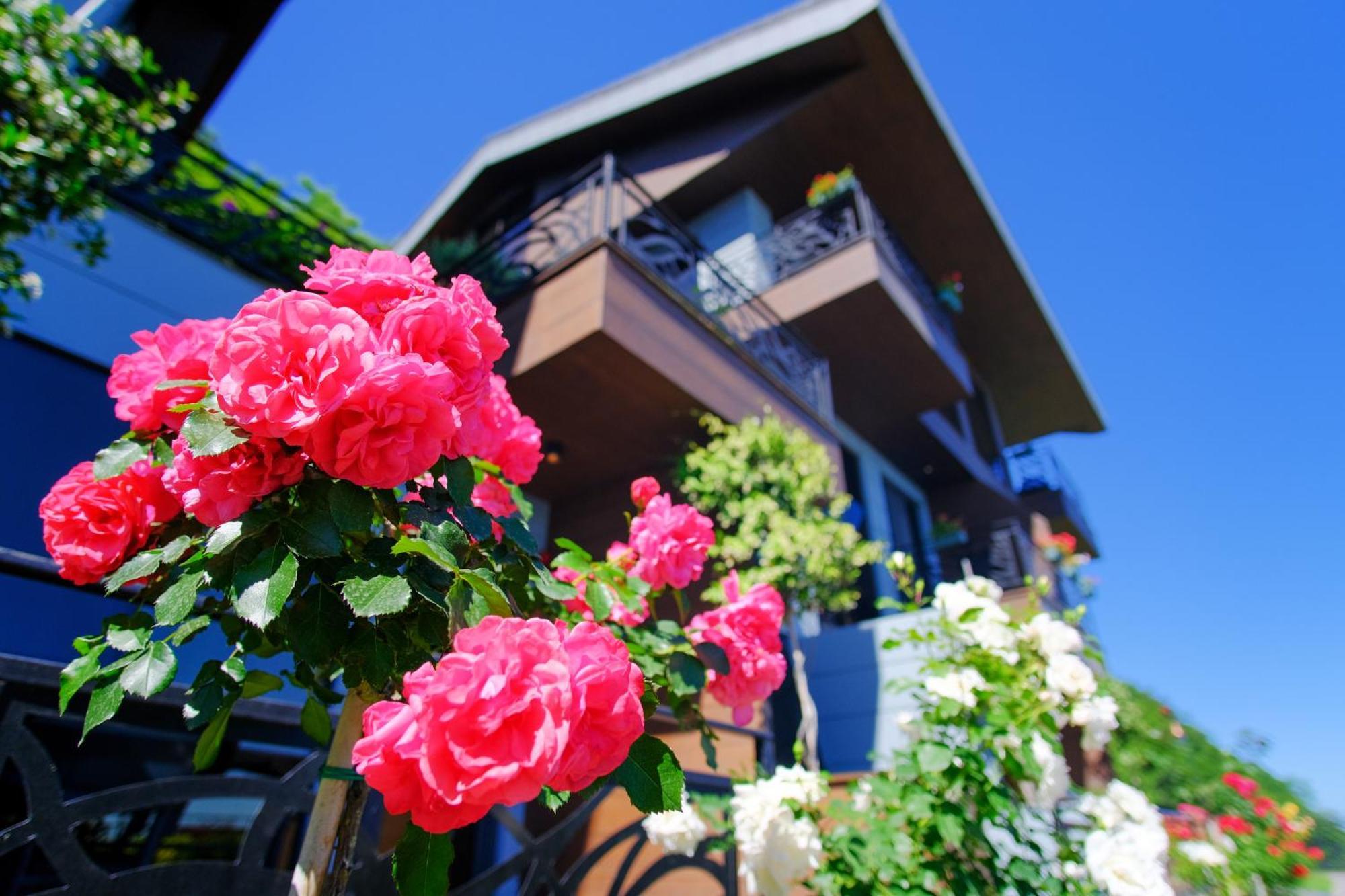 Peerless Villas Hotel Trabzon Esterno foto